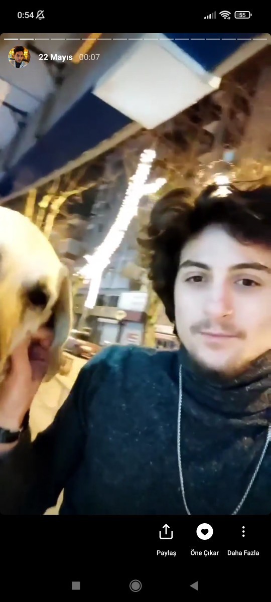 Evcil hayvanları sever misiniz? Evcil hayvanınız var mı?