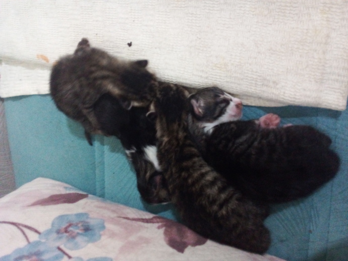 Görskedim en iyi ifade eden kısa notunu buraya ekleyebilirsin...
