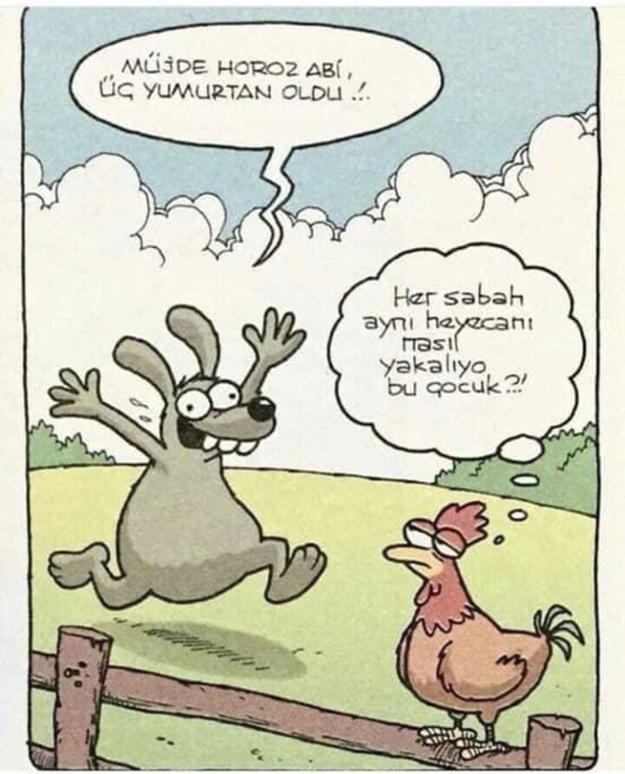 Bu sabah enerjiler yüksek mi?