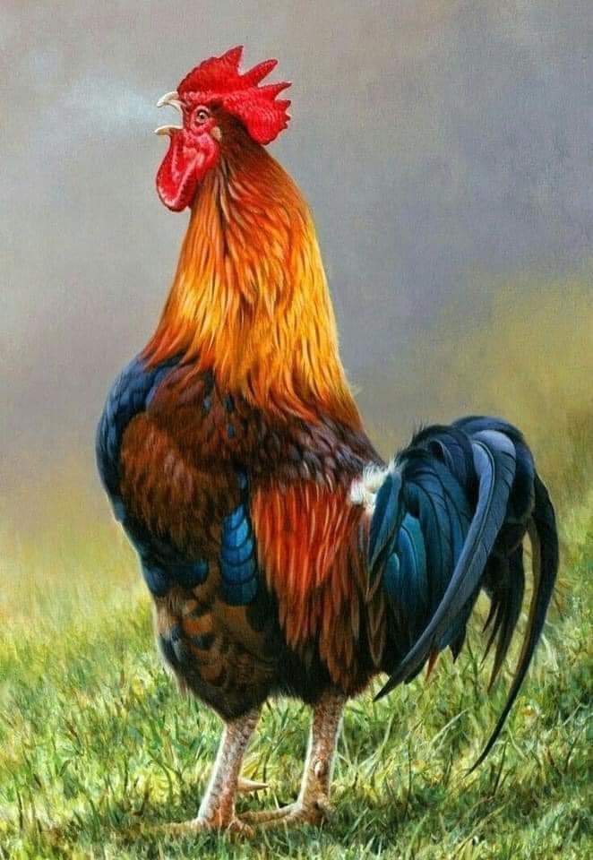 Sizce korku taviz vermek midir?