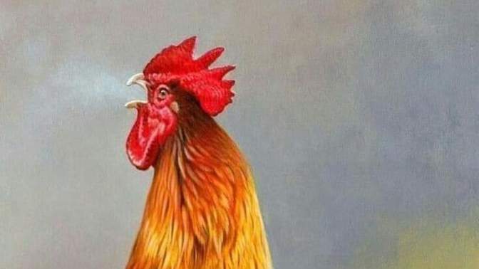 Sizce "korku" taviz vermek midir?