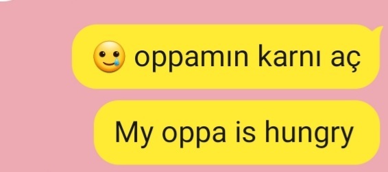 Hiç bir yabancıya türkçe öğrettin mi?