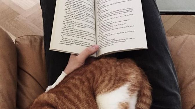 Size okuma alışkanlığı kazandıran bir kitap var mı?