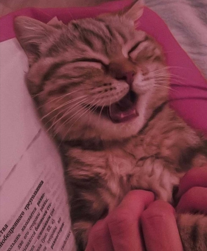 Senin ben o 2 minicik dişlerini yiğerimm yiğerrr.. 🦁