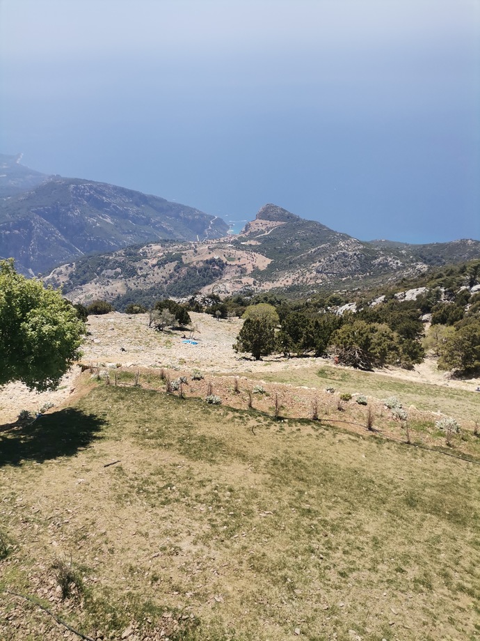 Bugün enerjiniz nasıl?