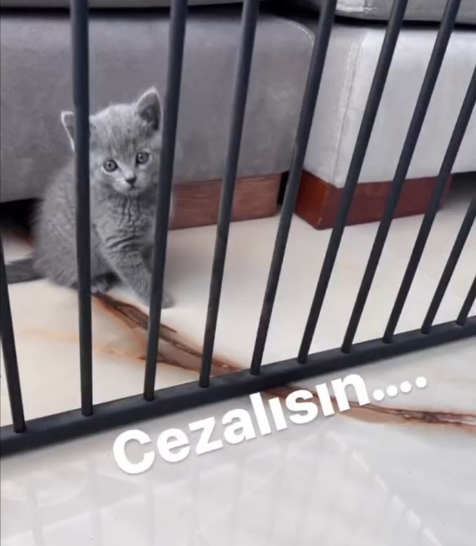 Neden kendimi hep sinirli hissediyorum?