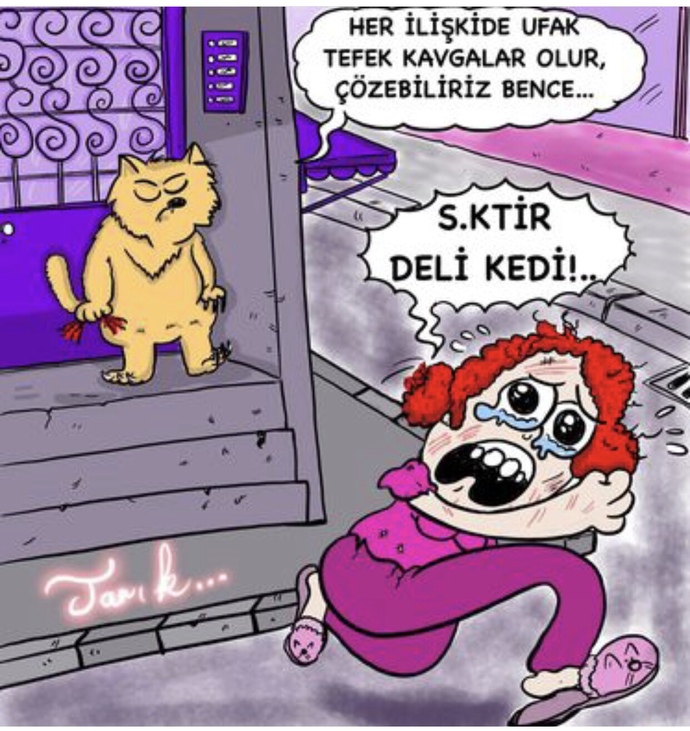 Kedilerden korkar mısınz?