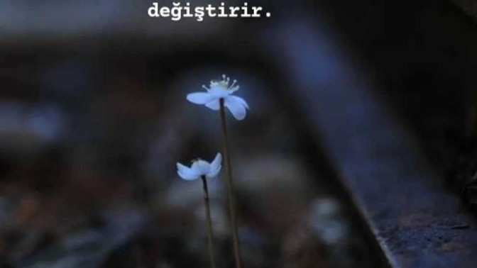 Hangi sebepler insanı değiştirir?