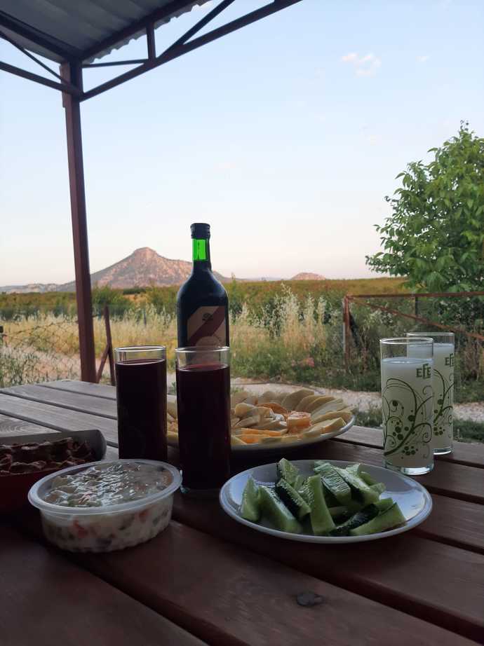 Merhabalar kimler ne yapıyor.. En sevdiğiniz alkol nedir acaba?
