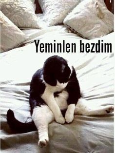 İlk buluşmada kebapçıya gidilir mi?