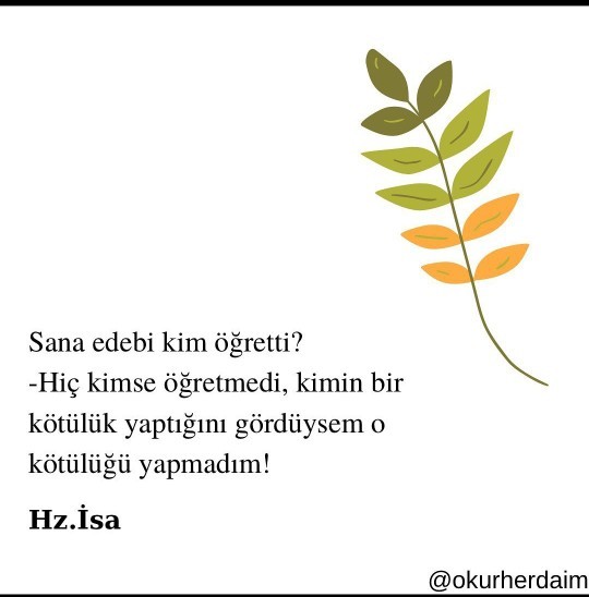 Kendinize göre edebi nerden öğrendiniz?