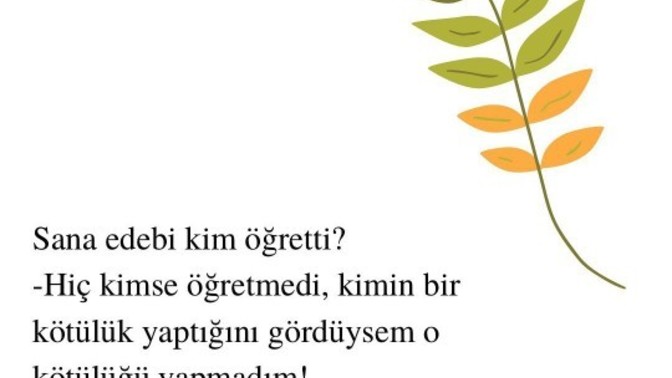 Kendinize göre edebi nerden öğrendiniz?