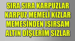 Beyler tek kaşini kaldirip goguslerime bakti?