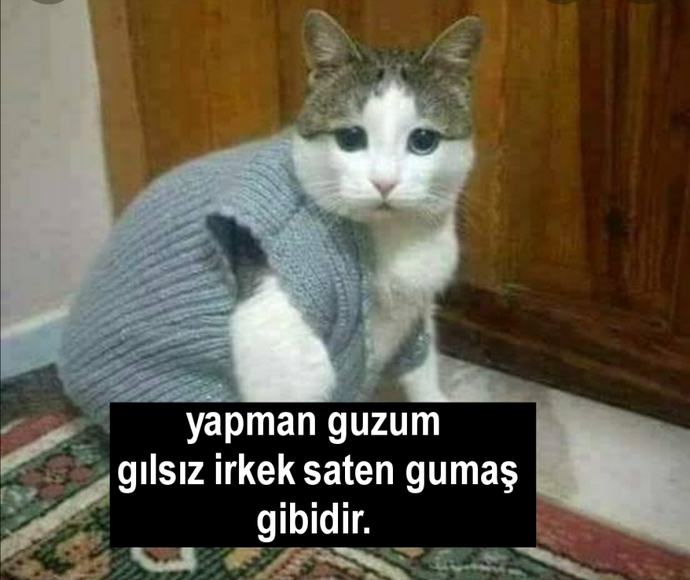 konuş babaanne arkandayız.