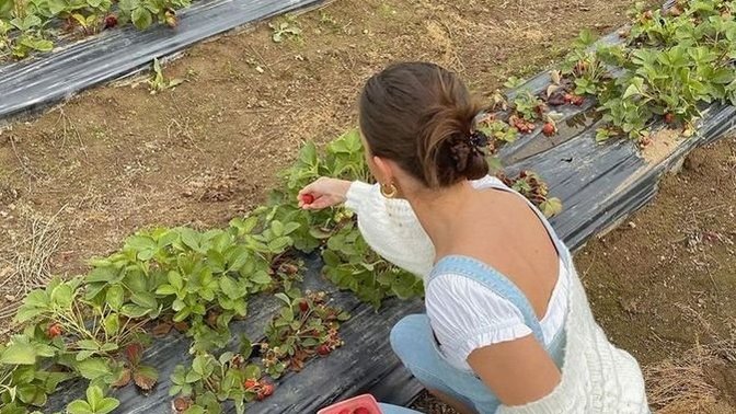 Severek, keyif alarak yaptığınız şeyler neler?