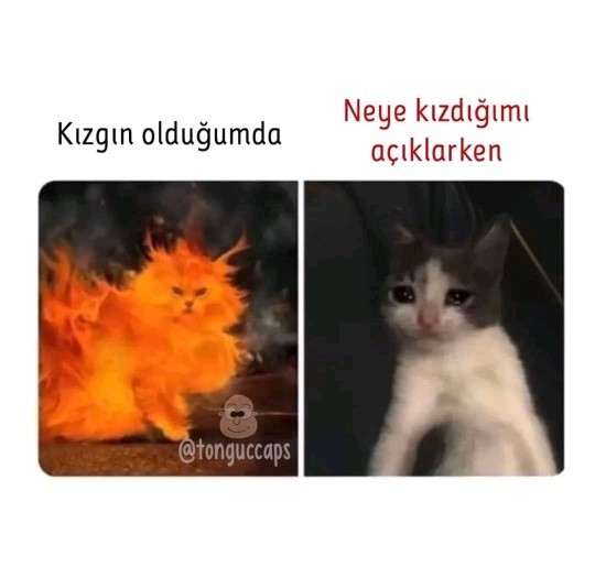 En yakın arkadaşınızın onay vermediği bir ilişkiye başlar mısınız?