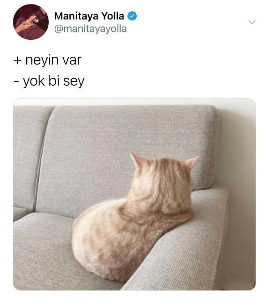 Yok bir şey dediğinizde gerçekten bir şey yok mu?