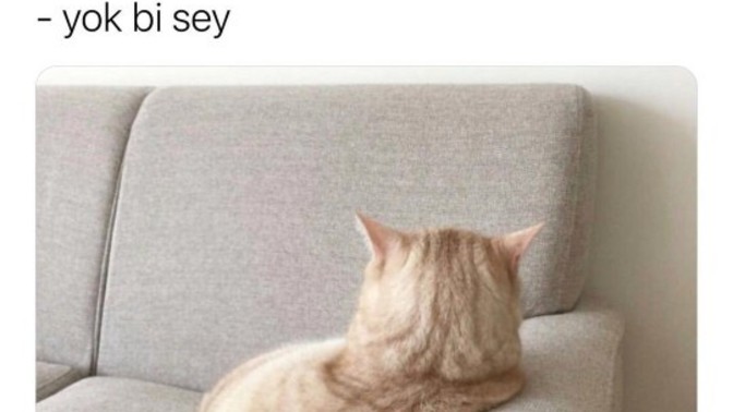 "Yok bir şey" dediğinizde gerçekten bir şey yok mu?