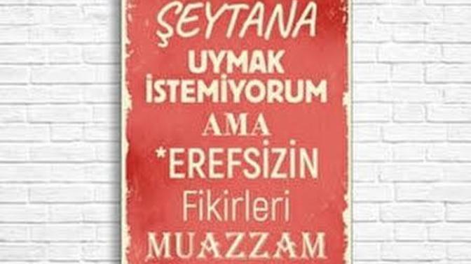 Ne sıklıkla şeytana uyarsınız😈?