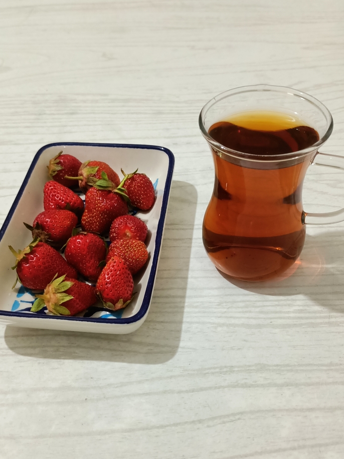Ne yapıyorsunuz cannnlarr?