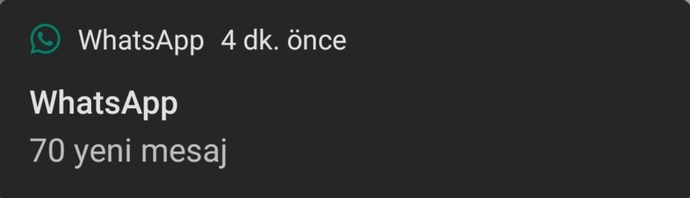 Arkadaşınızdan bu kadar mesaj gelse ne yaparsınız?