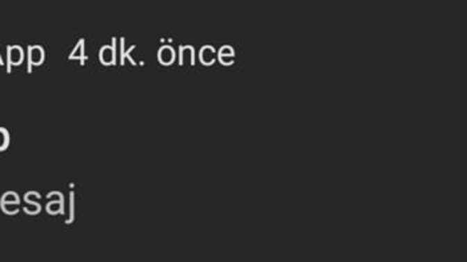 Arkadaşınızdan bu kadar mesaj gelse ne yaparsınız?