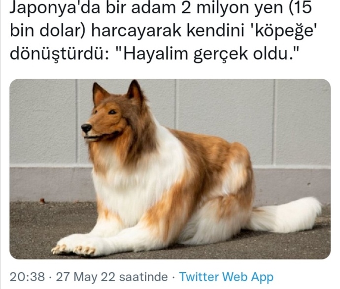 #nirhamm