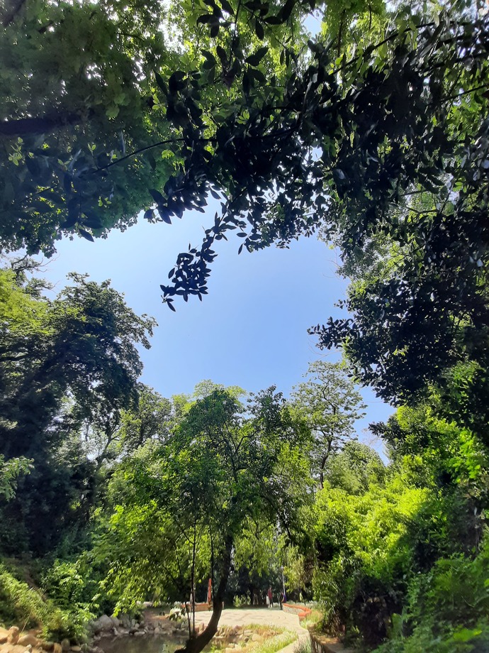 aşşağıki mahale