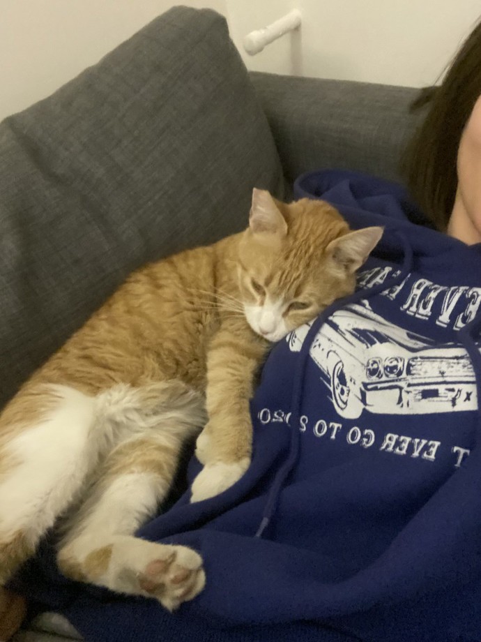 Bu kedi depresyona girmiş napicam?
