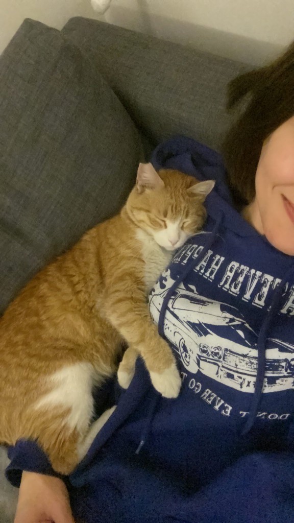 Bu kedi depresyona girmiş napicam?