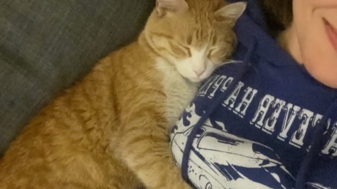 Bu kedi depresyona girmiş napicam?