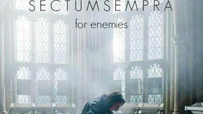 Harry Potter evreninde en sevdiğiniz büyü hangisi?