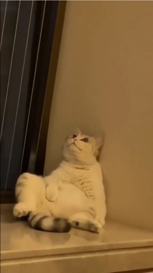 Peki sizce neden?
