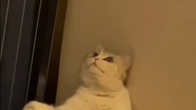 Peki sizce neden?