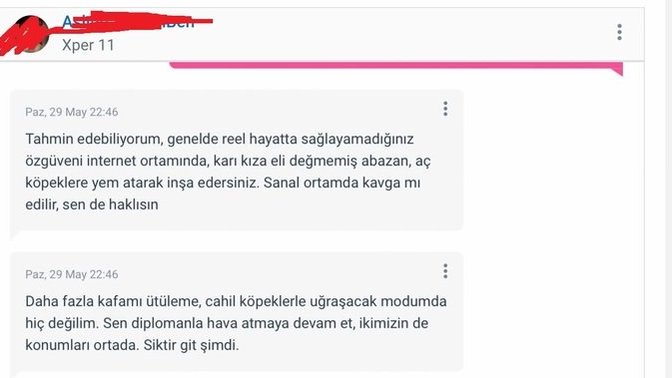 Siteden birini hakaretten mahkemeye verdim. Bu yazdıklarından ötürü sizce ne kadar ceza alır?