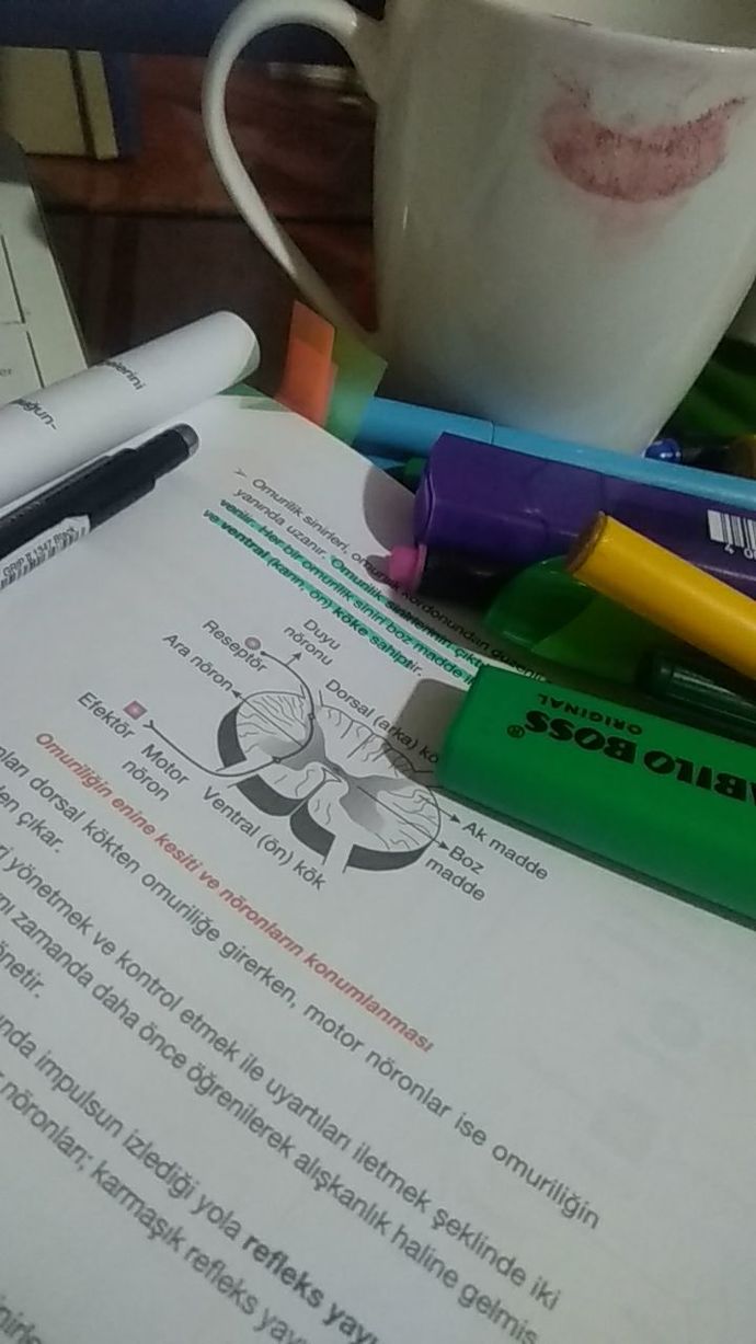 Şu anda, odanızdaki en ilginç şey nedir?