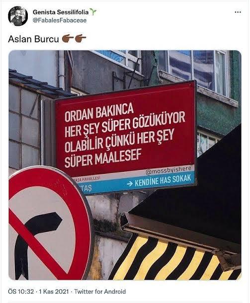 Haydi herkes kendi burcunun raconunu kessin :)) ?