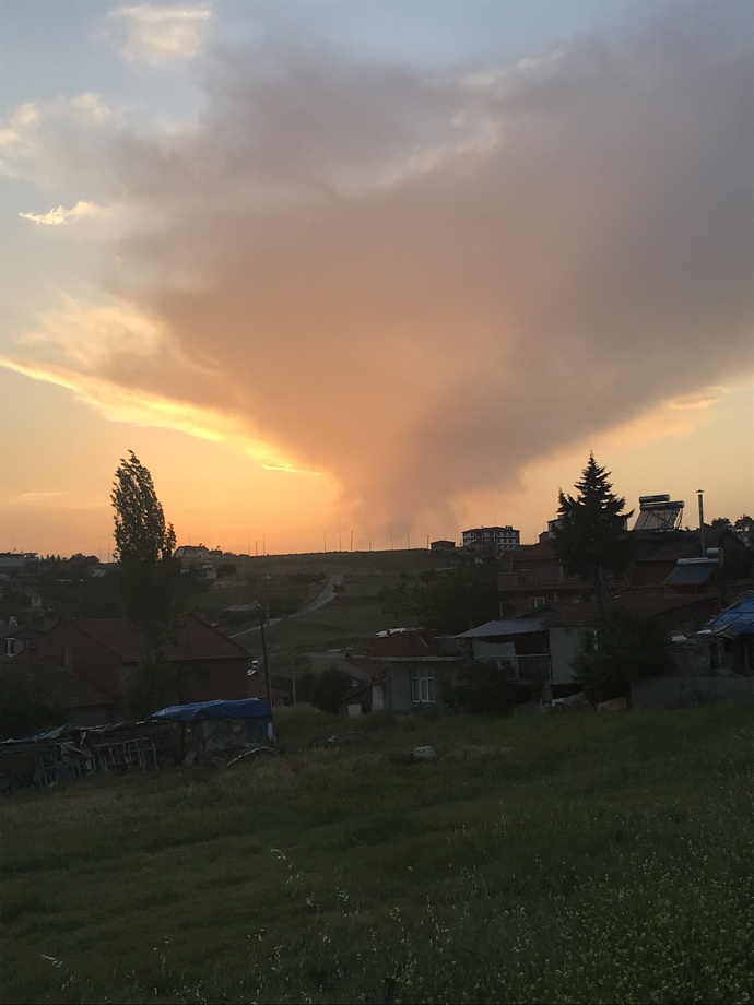 Bu tarz fotoğrafları sever misiniz?