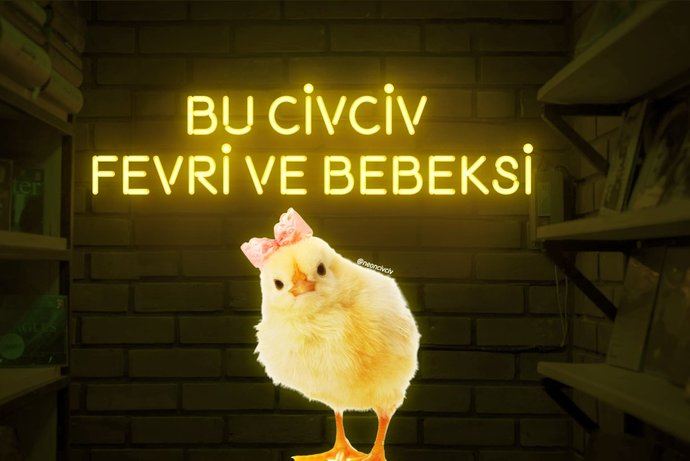 Uysal mısın yoksa dik başlı mı?