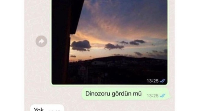 Biriyle konuşmak için bahane arar mısınız?