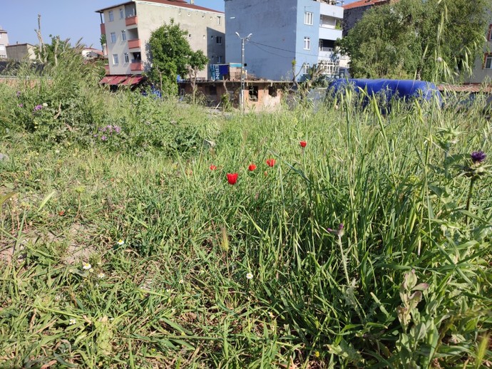 Açık havada oturmayı sever misiniz?