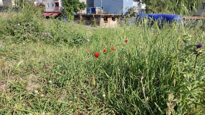 Açık havada oturmayı sever misiniz?