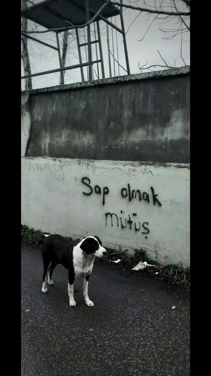 Artık neden kimse sevgilim var demiyor?