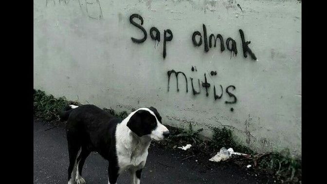 Artık neden kimse "sevgilim var" demiyor?