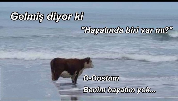Şu an hayatında biri var mı?