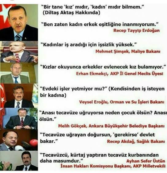 Cumhurbaşkanı'nın vatandaşlarına "sür-tük" demesi hakkında ne düşünüyorsunuz?