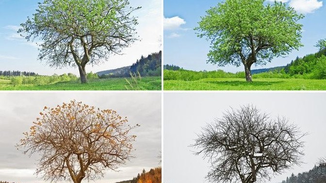 Hangi mevsimde huzur buluyorsunuz?