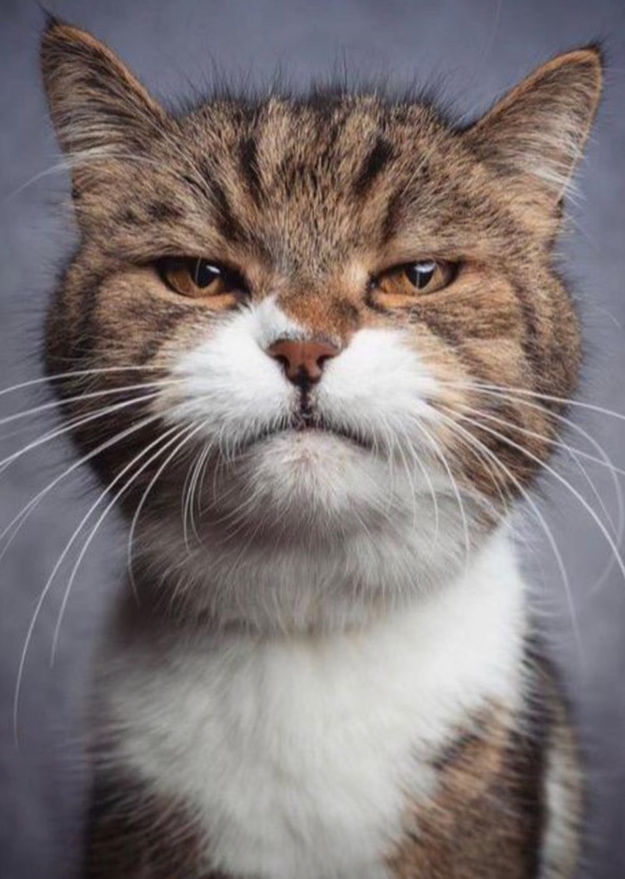 Bir boy ayol mushuk yalab qidirmoqda. Code Geass Karen yalangoch