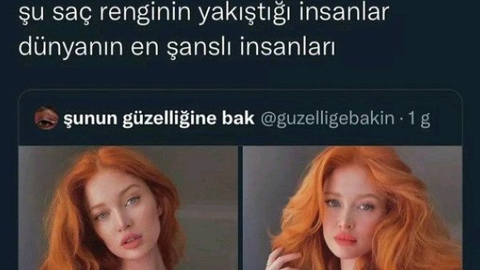 En çekici bulduğunuz saç rengi hangisi?