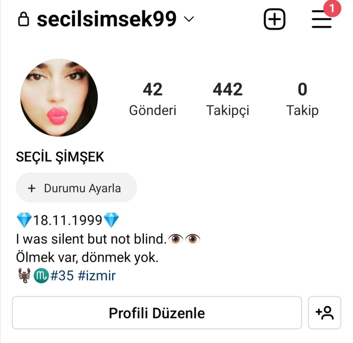 Instagram'da kaç takipçin var?